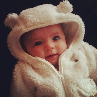 Polar bear cubs in my house!